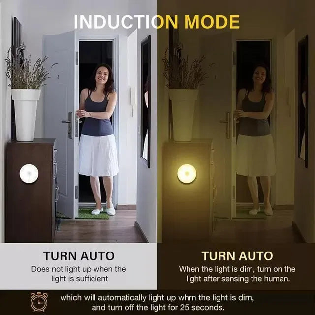 Motion LED Night Light ( Pack of 2)